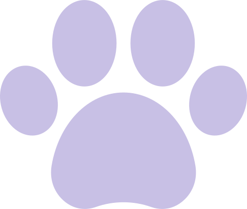 Imagem de uma pata de cachorro